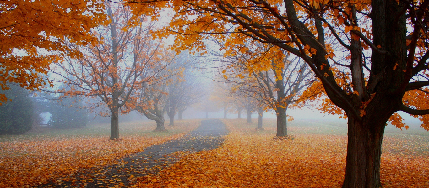 Fall season is the time when Yahuwah puts His creativity canvas on open display.